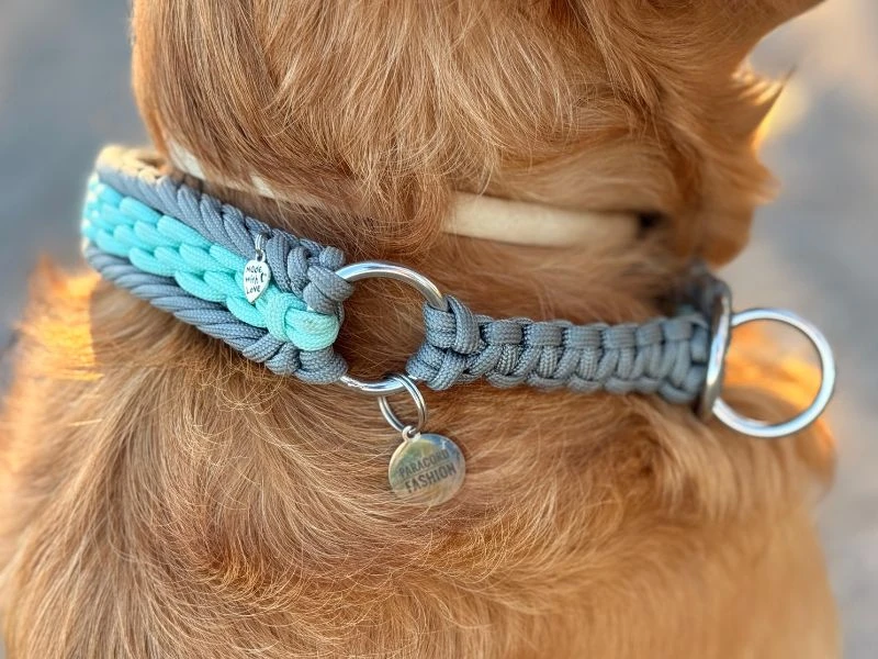 paracord halsband für hunde - chilis silvermint kiss - paracord fashion - hundemode