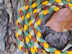 paracordleine - hundeleine herbst - paracord fashion